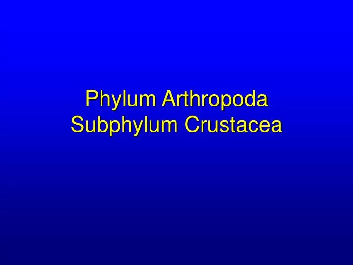 phylum arthropoda subphylum crustacea n.