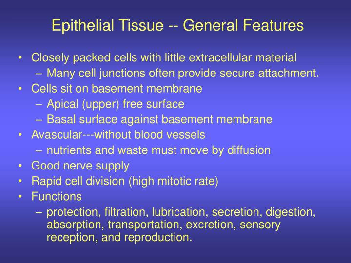 epithelial tissue general features n.