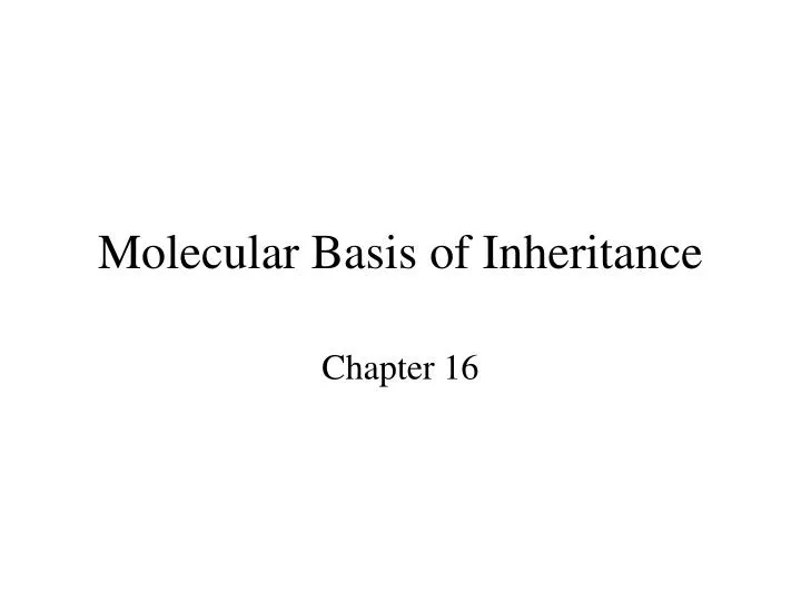 molecular basis of inheritance n.