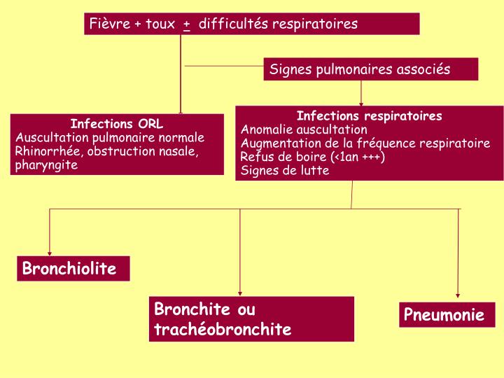 PPT Infections Respiratoires Basses De L adulte Et De L enfant ppt-infections-respiratoires-basses-de-l-adulte-et-de-l-enfant