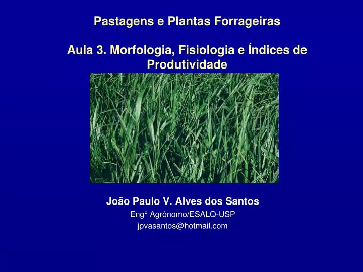 pastagens e plantas forrageiras aula 3 morfologia fisiologia e ndices de produtividade n.
