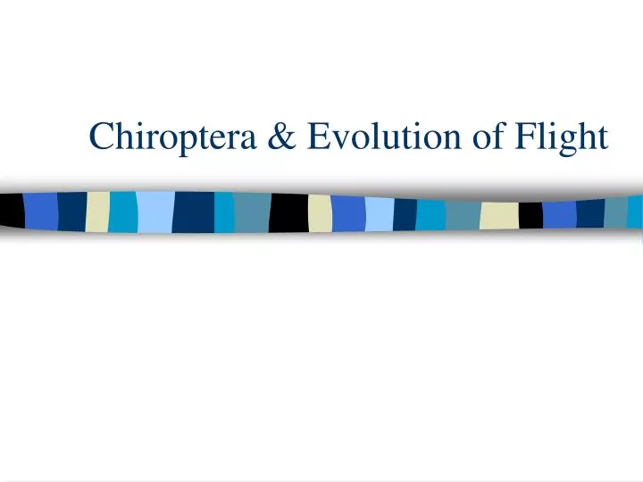 chiroptera evolution of flight n.