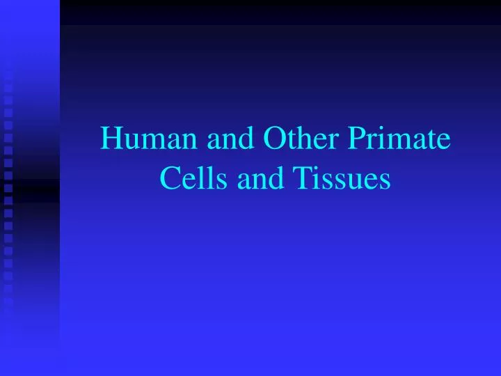 human and other primate cells and tissues n.