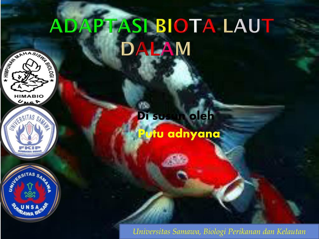 4400 Koleksi Bagaimana Adaptasi Ikan Air Laut Dalam Kolam Gratis Terbaru