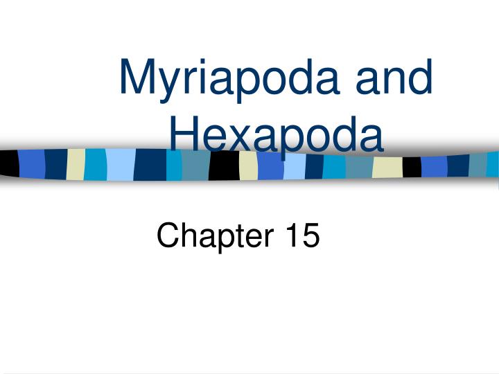 myriapoda and hexapoda n.