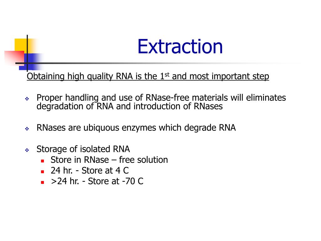 PPT - Recommended Procedures for the Extraction of RNA PowerPoint ...