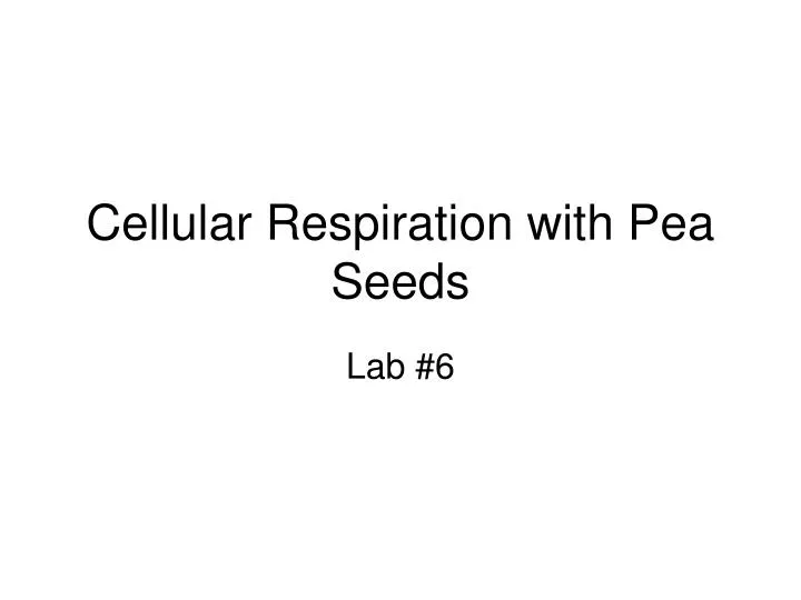 cellular respiration with pea seeds n.