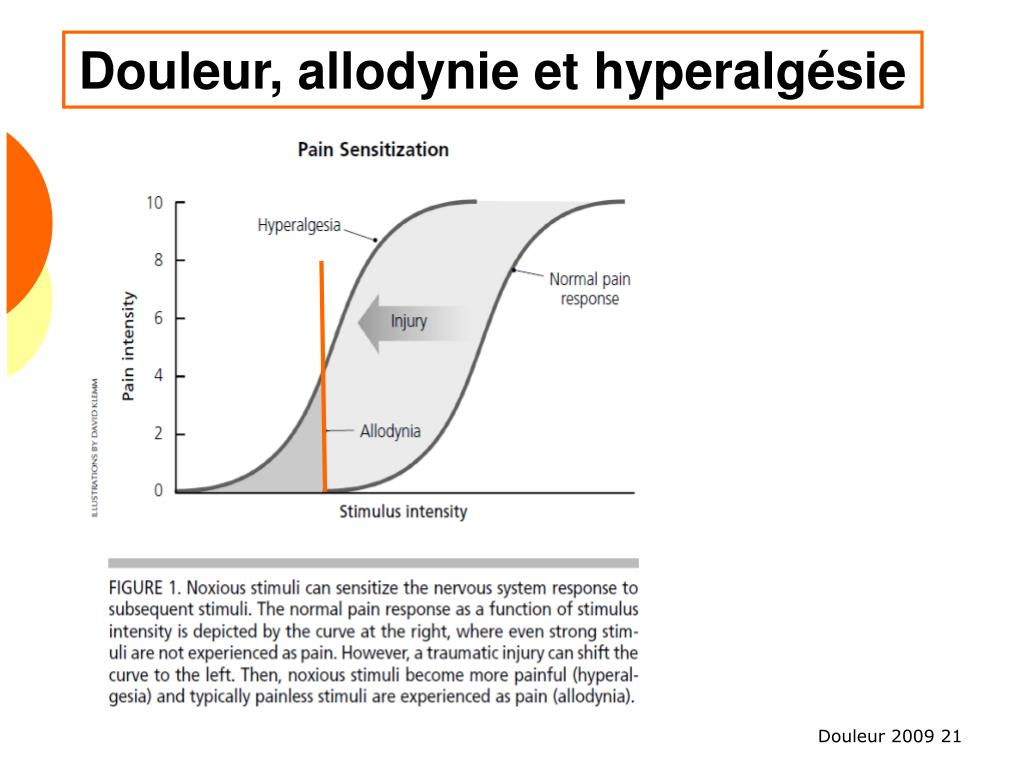 PPT - La physiologie de la douleur chez les animaux domestiques ...