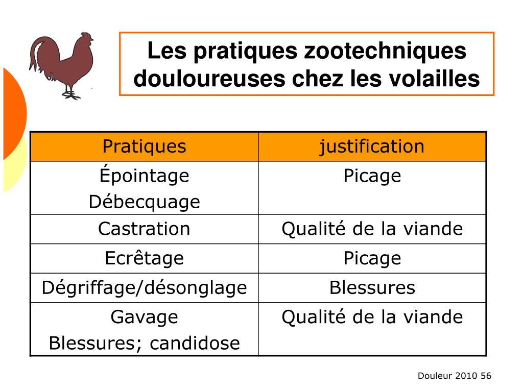 Ppt La Physiologie De La Douleur Chez Les Animaux Domestiques Powerpoint Presentation Id 9664