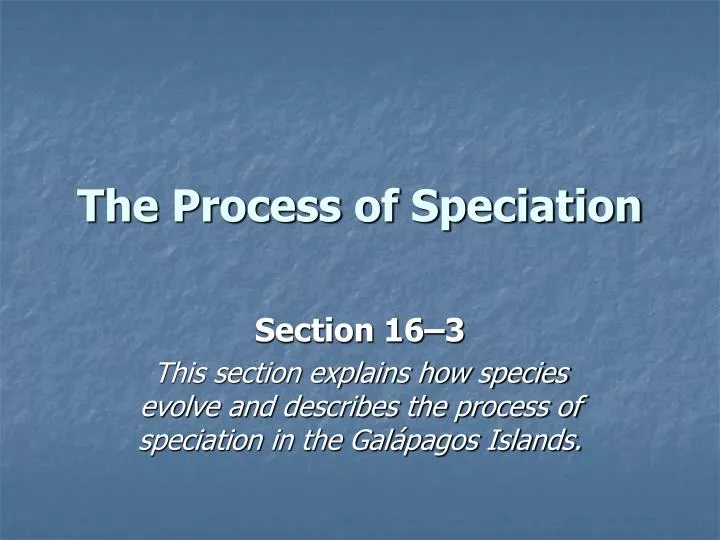 the process of speciation n.
