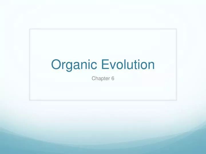 organic evolution n.