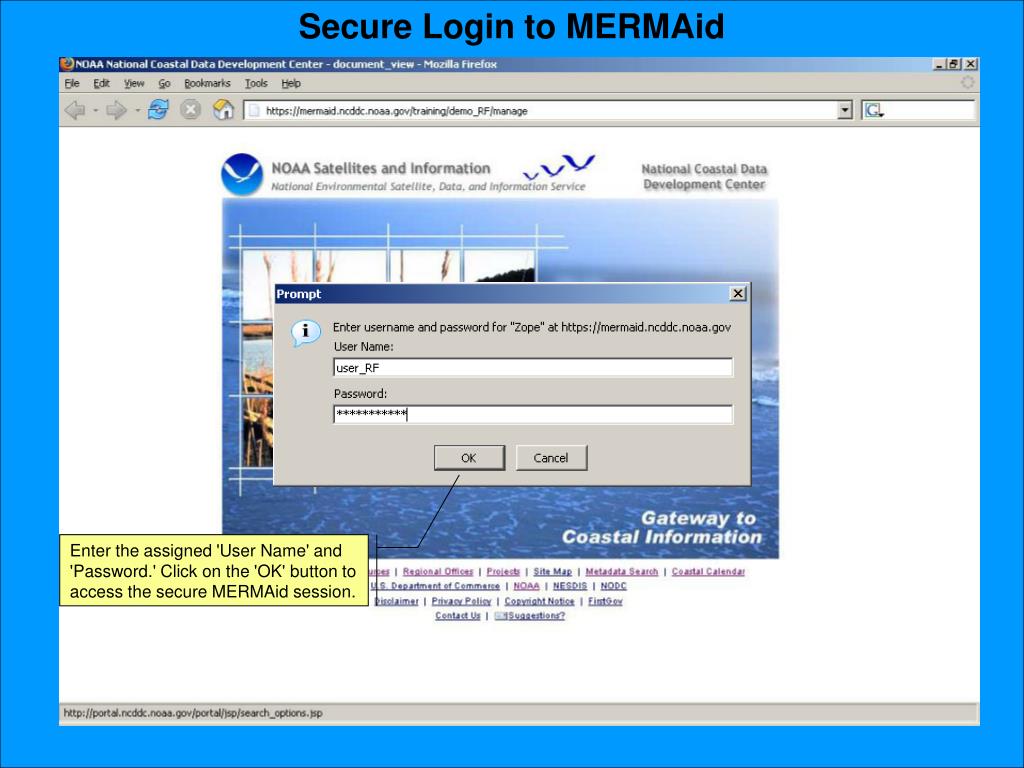 PPT - Getting Started with MERMAid PowerPoint Presentation, free ...