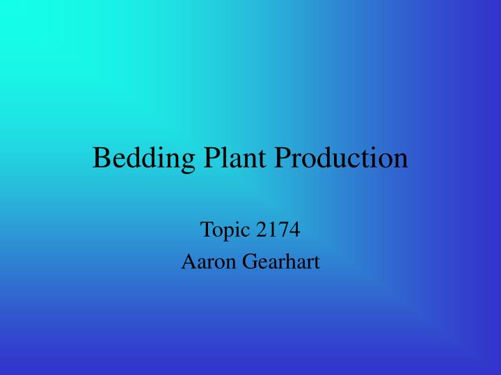PPT Bedding Plant Production PowerPoint Presentation, free download
