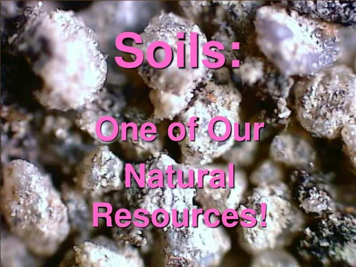 soils n.