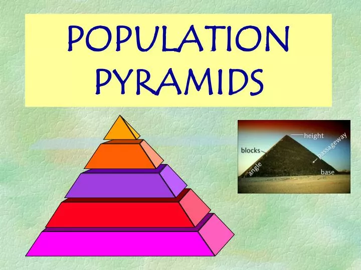population pyramids n.
