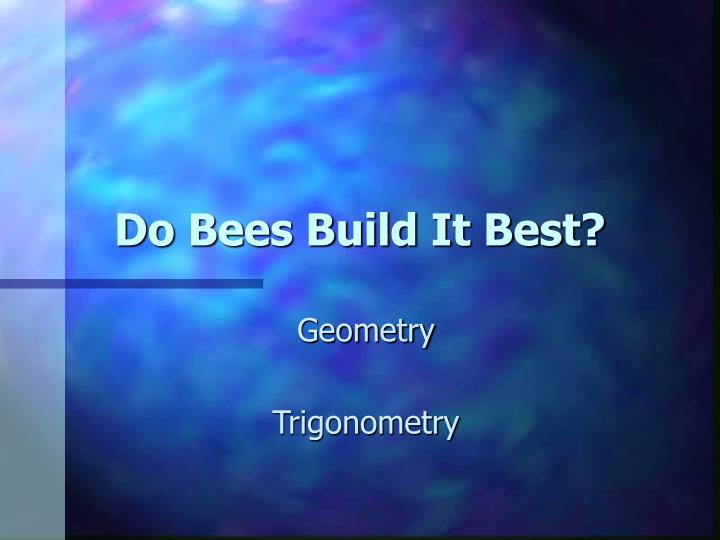 do bees build it best n.
