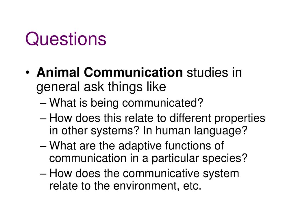 PPT - Animal Communication PowerPoint Presentation, free download -  ID:211612