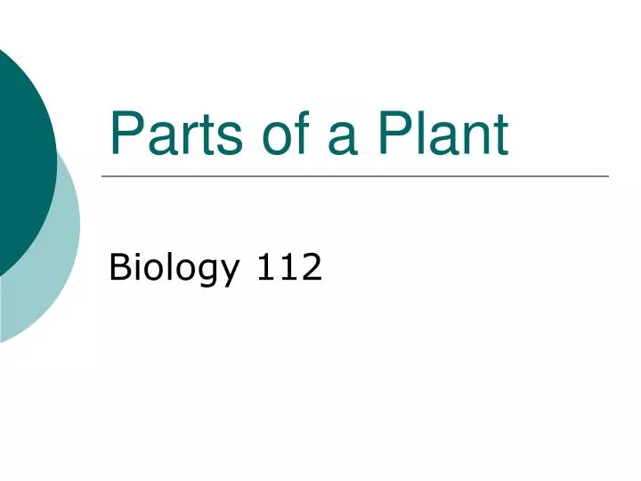 parts of a plant n.