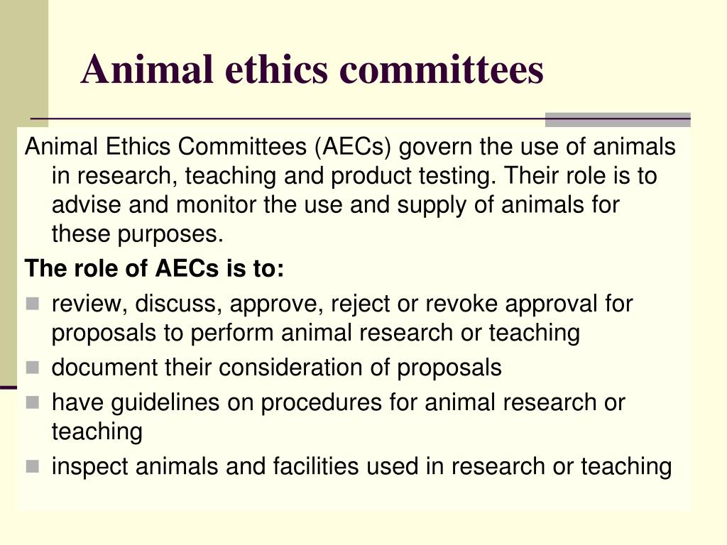 animal research ethics committee