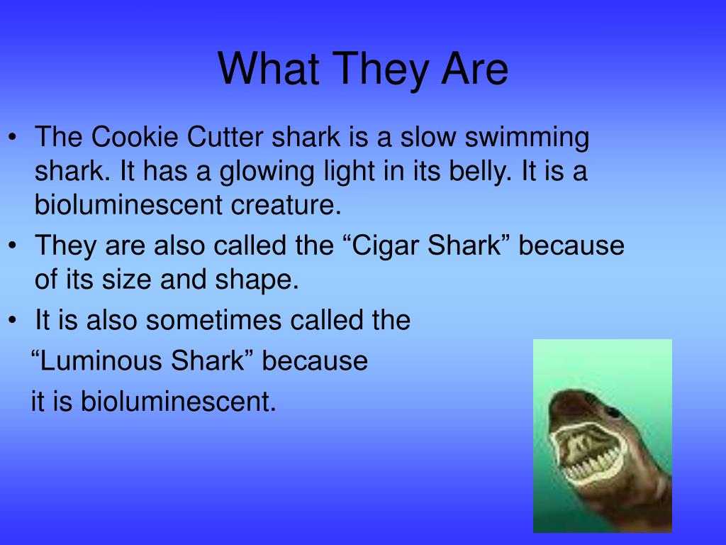 Ppt cookie cutter shark powerpoint presentation free download id
