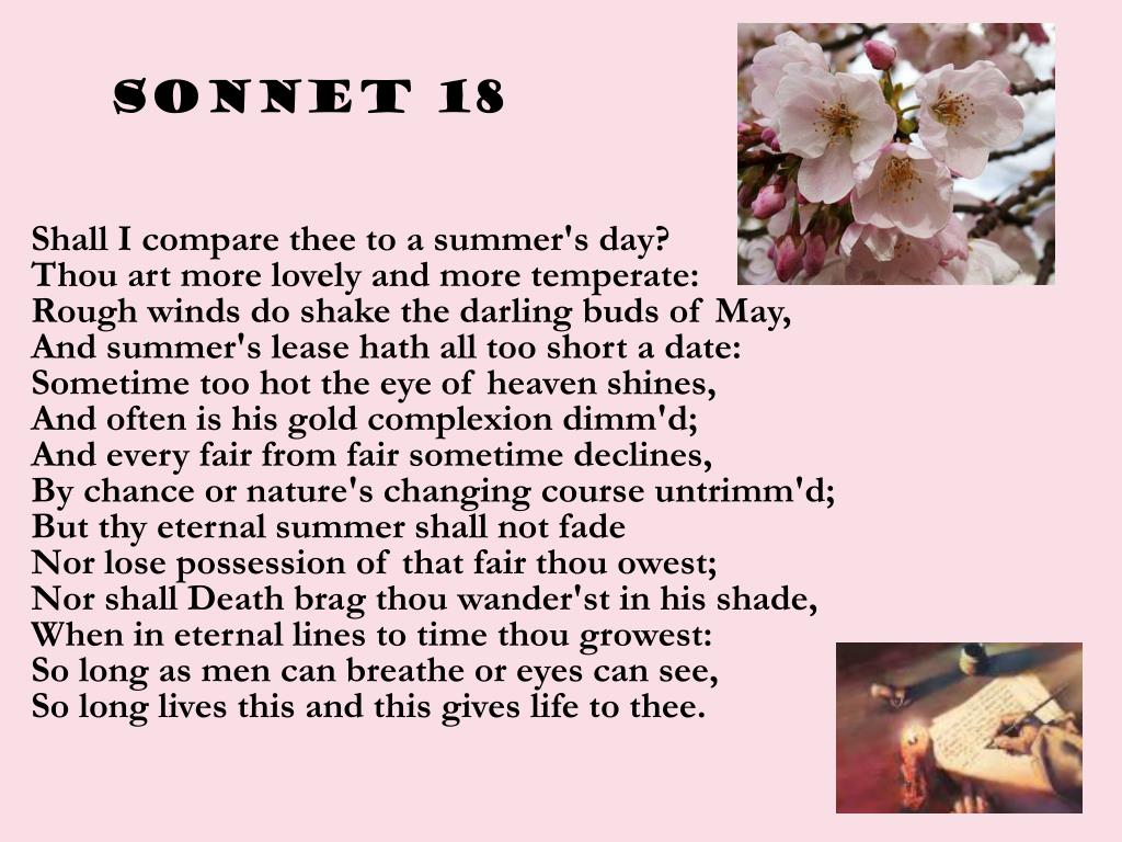 Сонет 18. Сонет 18 Шекспир. Сонет Шекспира shall i compare. Сонет 18 Шекспир на английском. Shakespeare Sonnet 18.