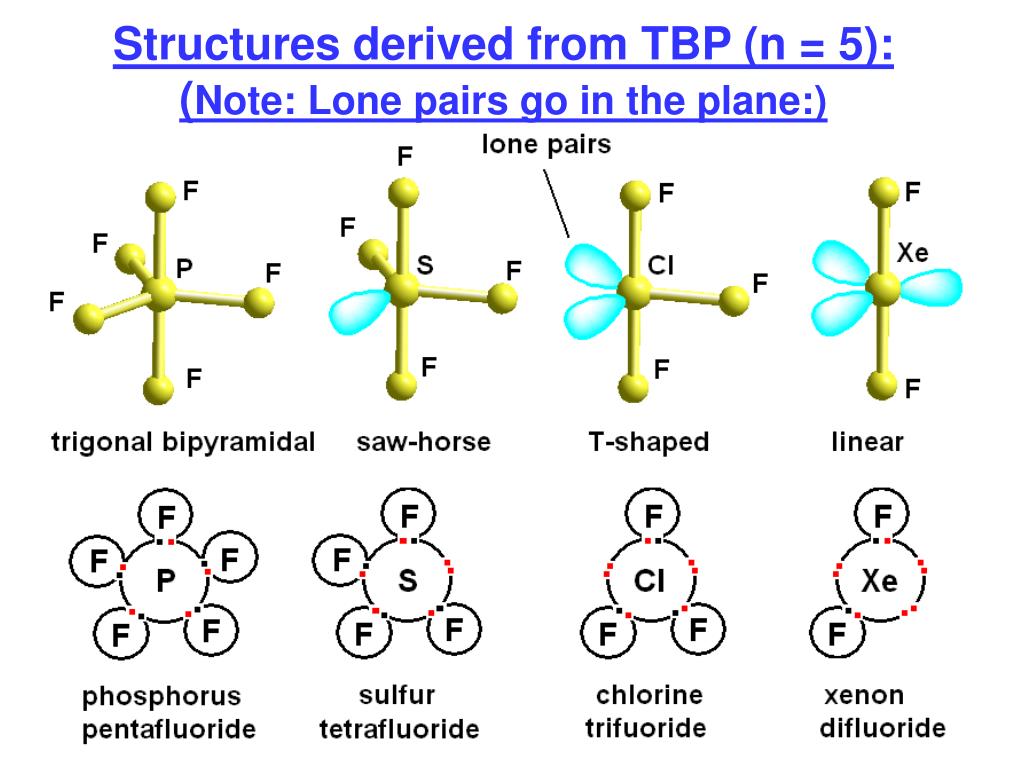 structures derived from tbp n 5 note lone pairs go in the plane 