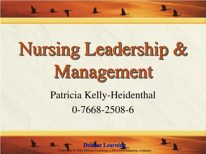 nursing leadership management n.