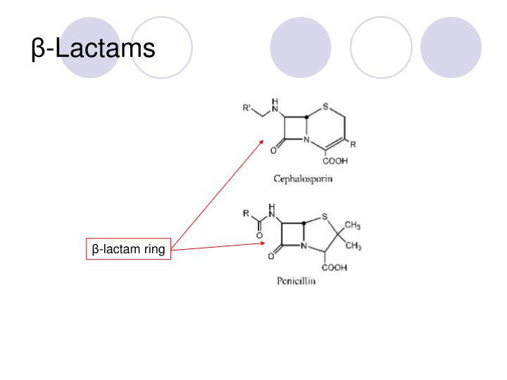 PPT - The Beta-Lactam Antibiotics PowerPoint Presentation - ID:215822