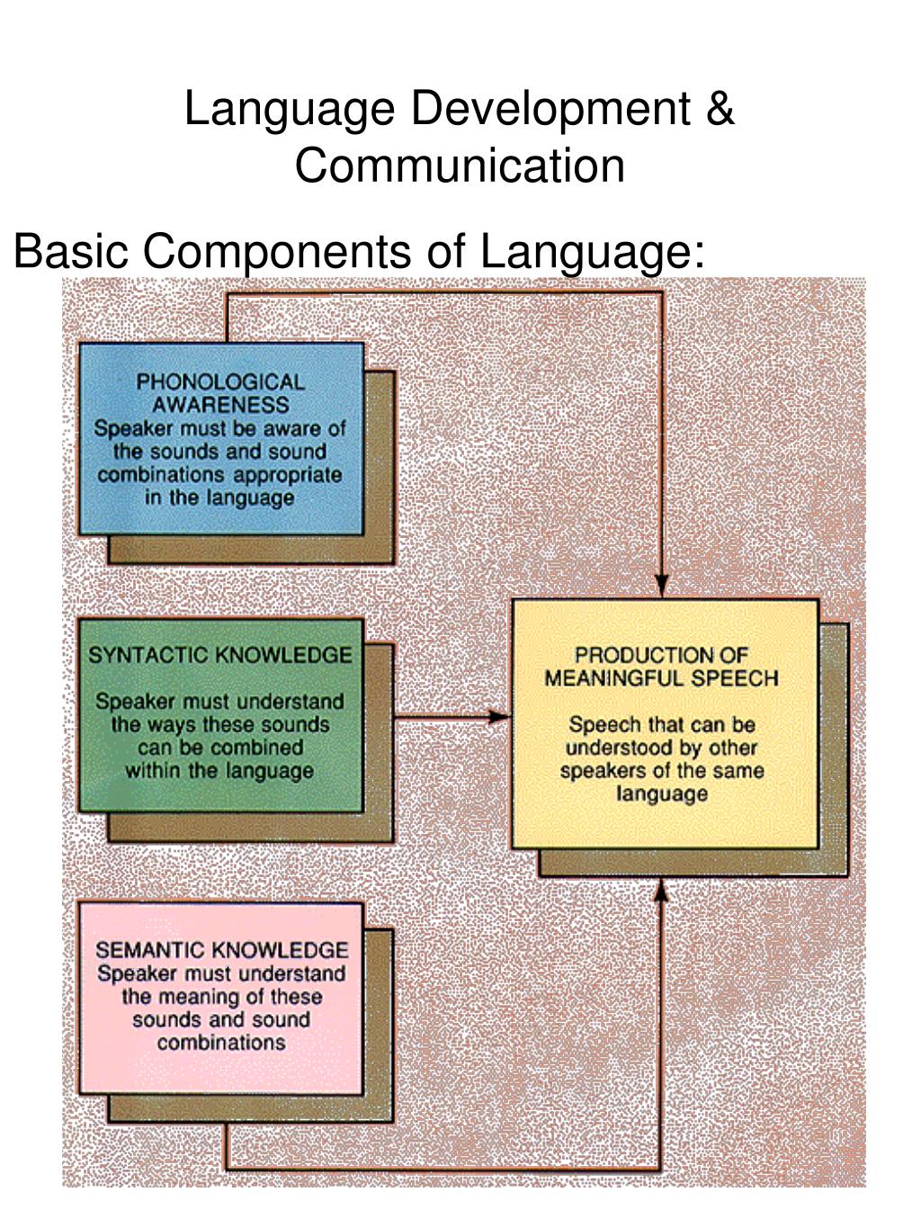 components of language