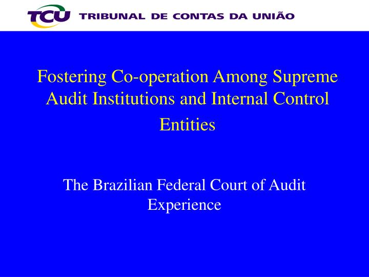 fostering co operation among supreme audit institutions and internal control entities n.