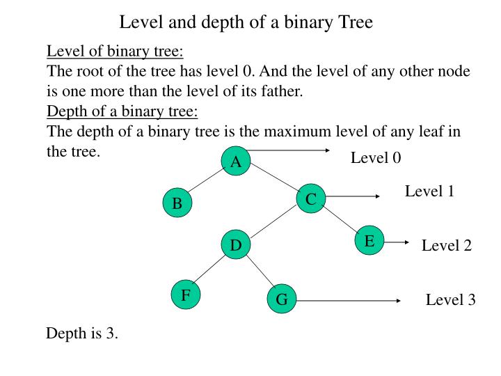 PPT - Binary Tree PowerPoint Presentation - ID:216704