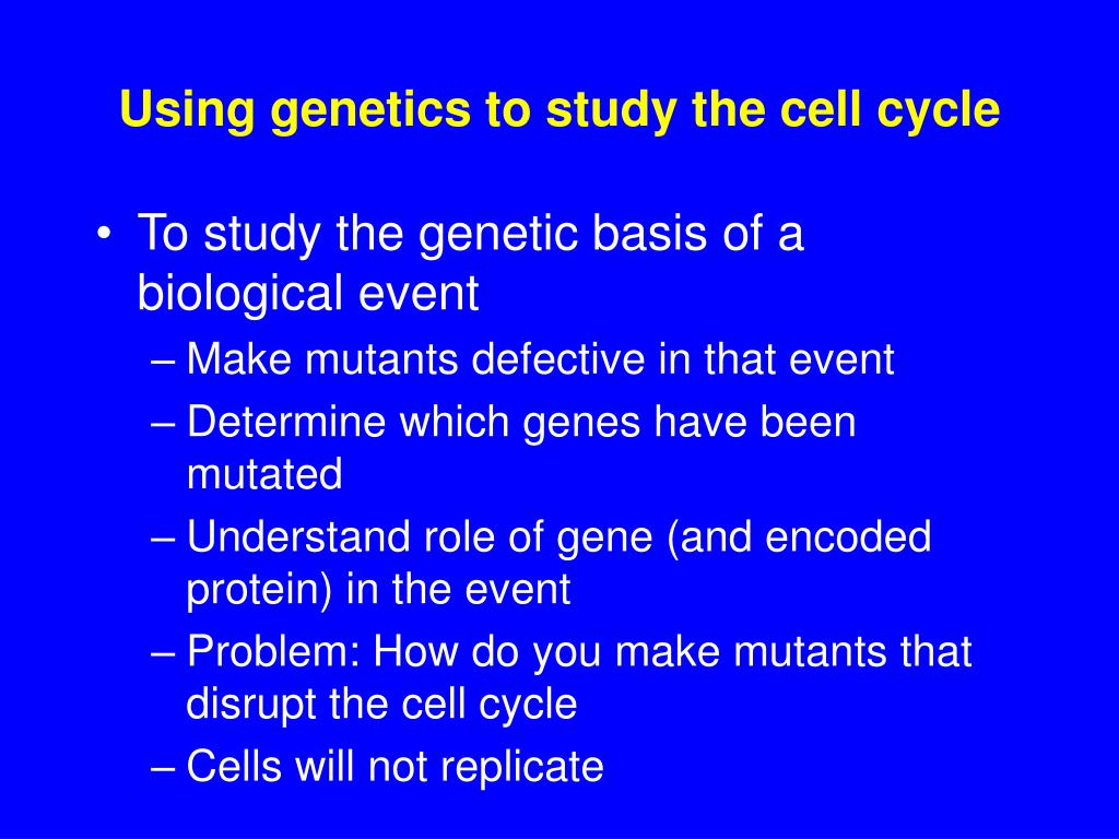 Biochemical Control of the Cell Cycle PowerPoint Presentation Biology Diagrams