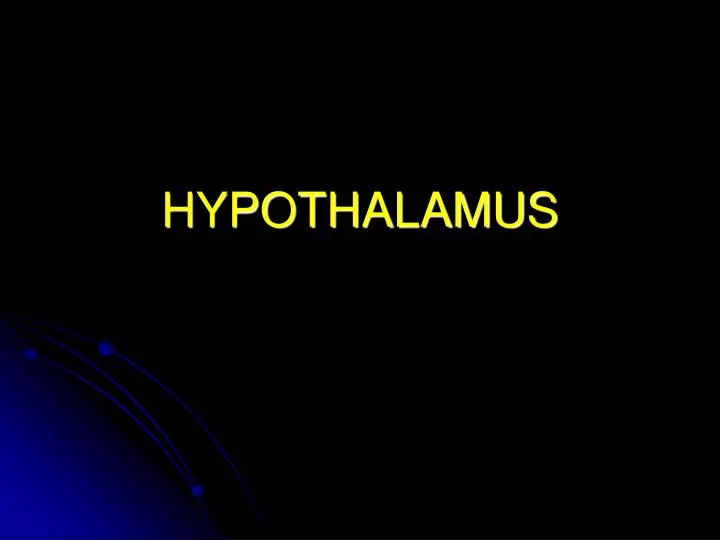 hypothalamus n.