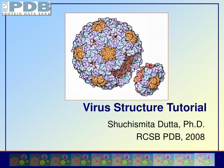 virus structure tutorial n.