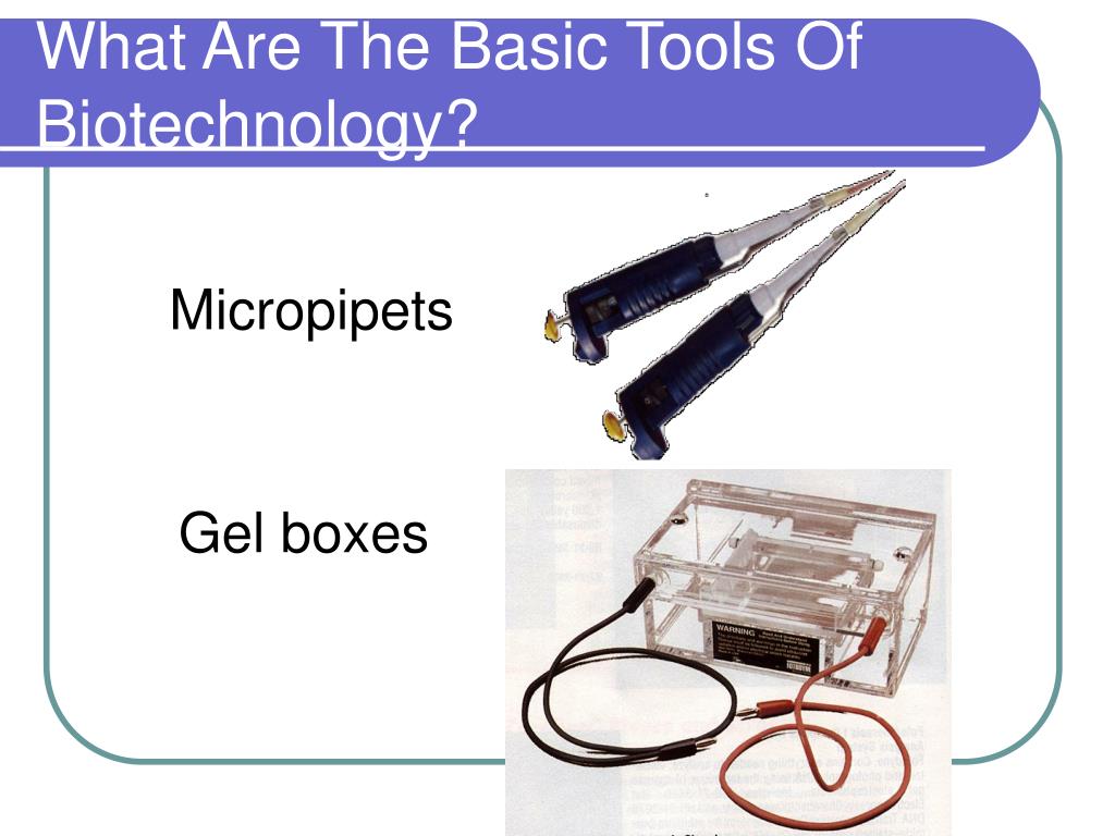 PPT Biotechnology PowerPoint Presentation, free download ID217373