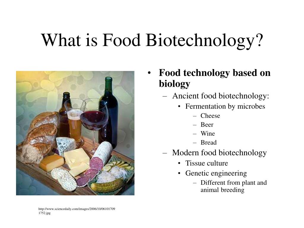 PPT Food Biotechnology Ethics PowerPoint Presentation, free download