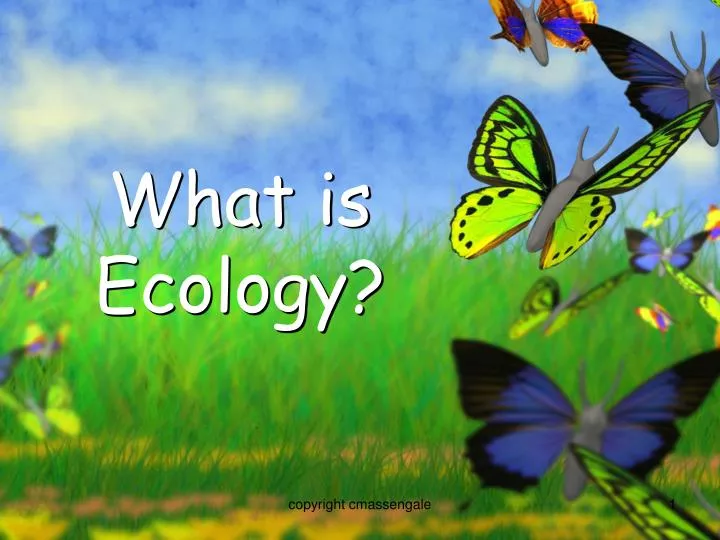 what is ecology n.