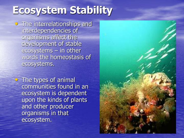 PPT - Ecology PowerPoint Presentation - ID:217416