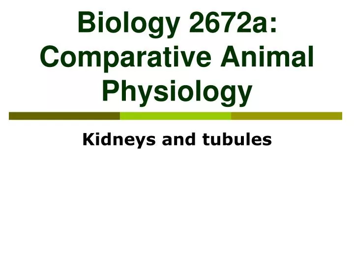 biology 2672a comparative animal physiology n.