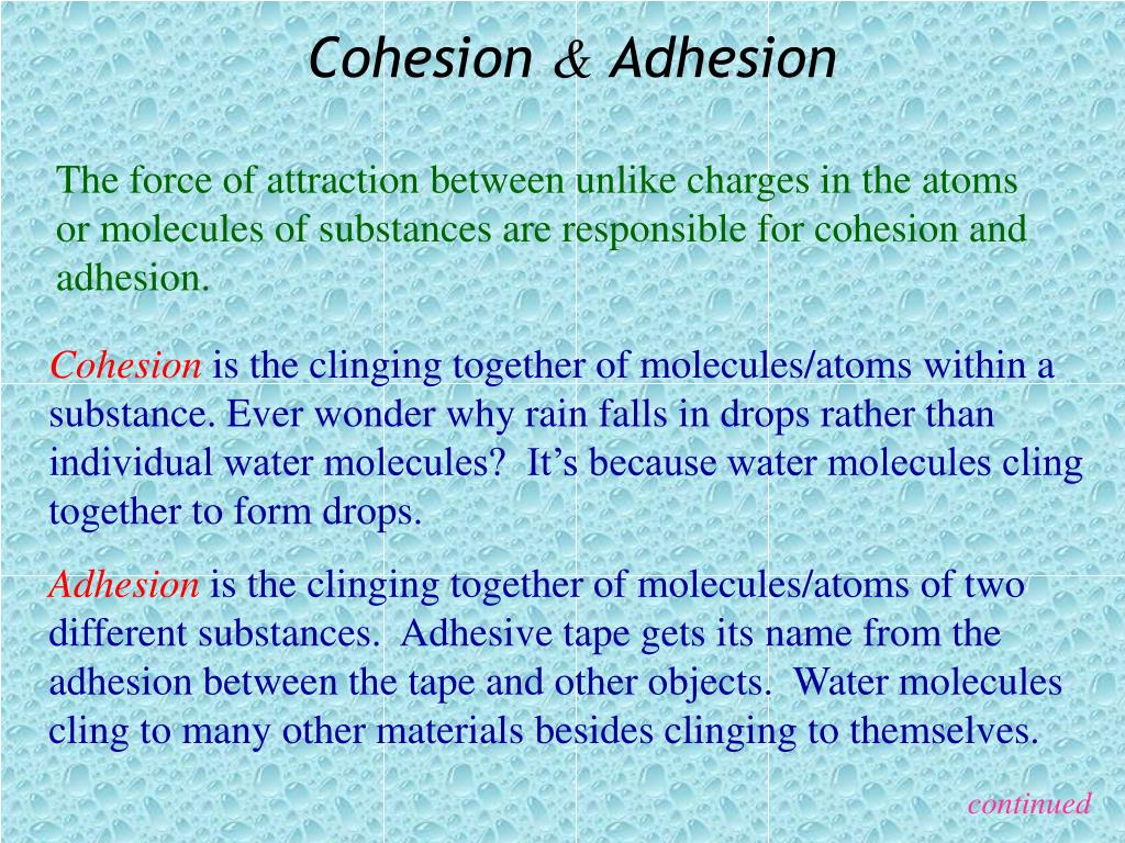 cohesion vs coherence