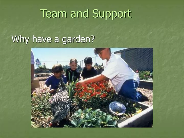 team and support why have a garden n.