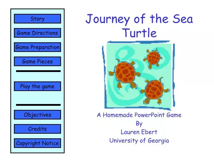 journey of the sea turtle n.
