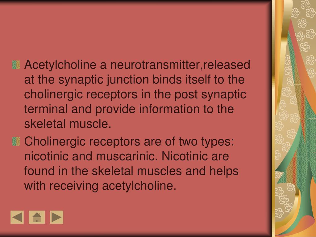 narcolepsy and cataplexy motor block narcolepsy and cataplexy motor block