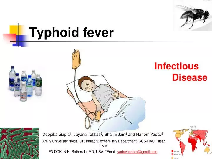 typhoid fever n.