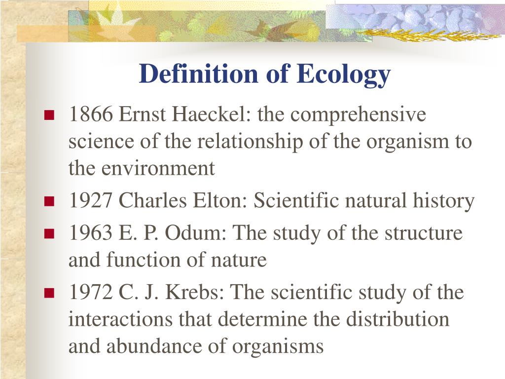 definition of ecology essay