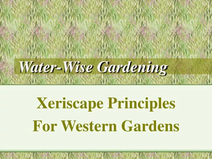water wise gardening n.