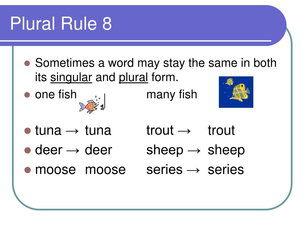 Plural nouns words. Plurals правило. Plurals Rules. Plurals for Kids правило. Plural Nouns.