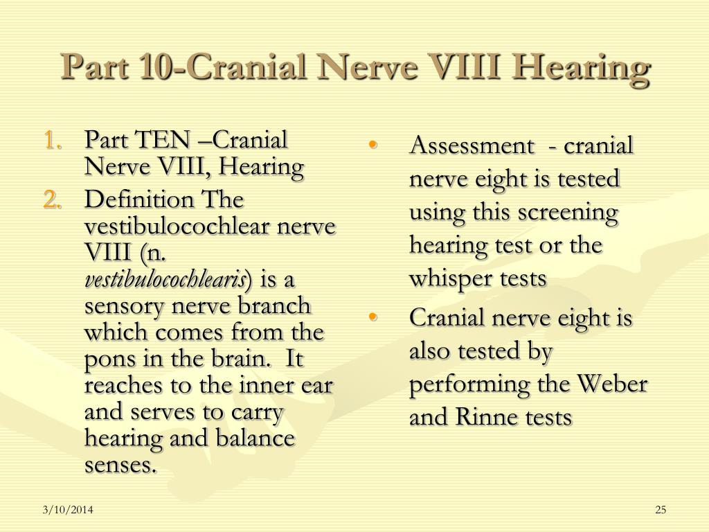 PPT - Cranial Nerves Assessment 2009 PowerPoint Presentation, free