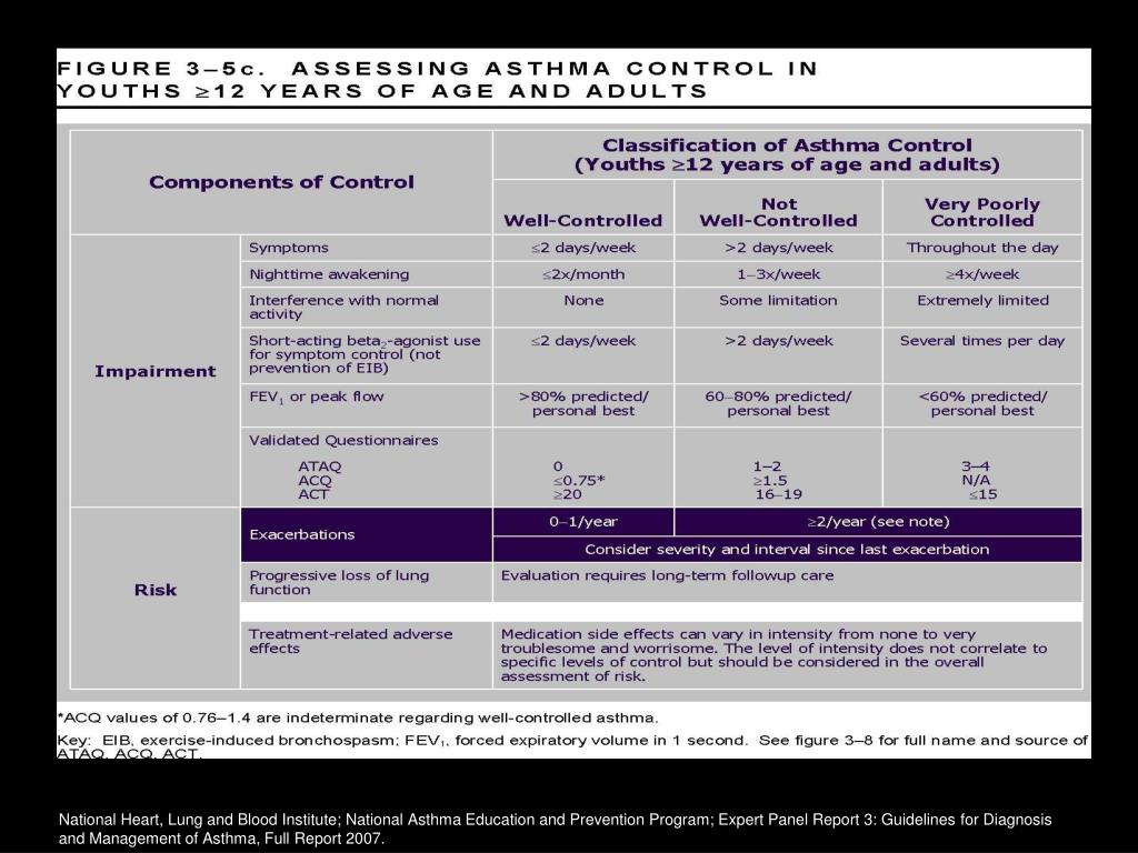 PPT - Asthma 2009: Latest in Diagnostic and Treatment Options ...