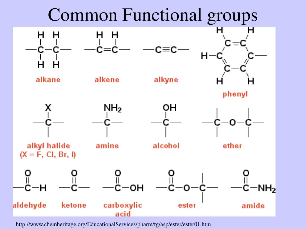 thiol functional group thiol functional group